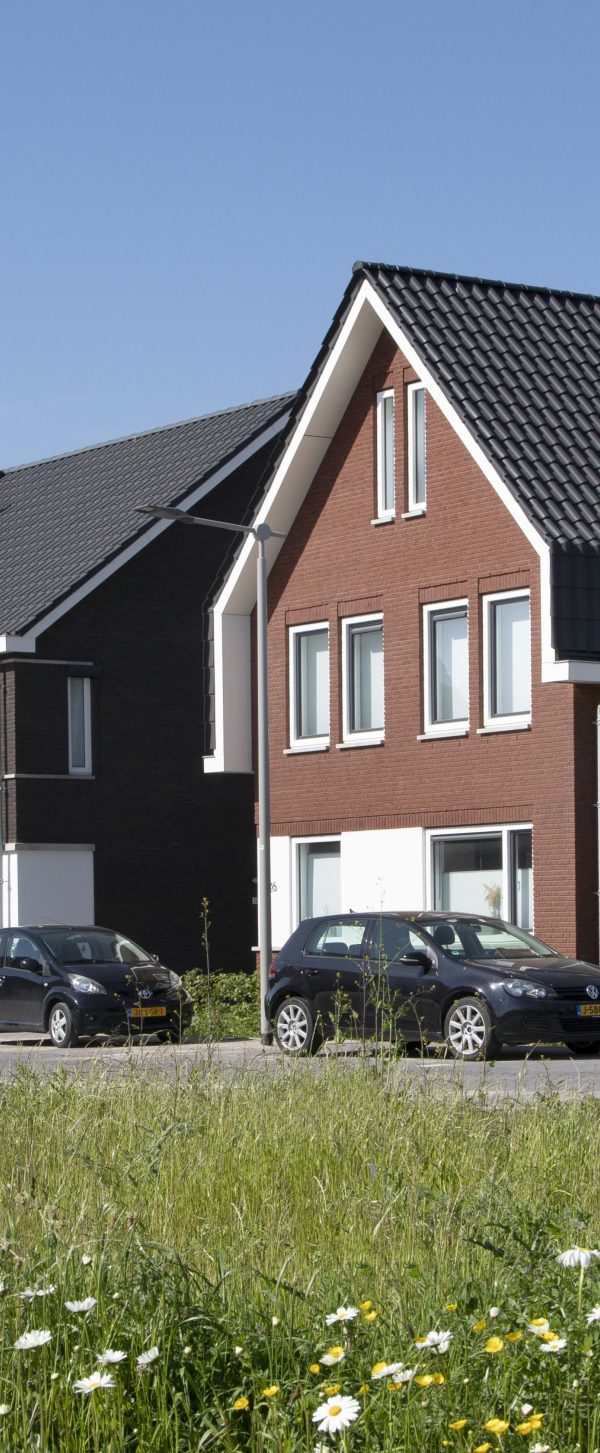 erf aan de weide fase 3 en 4 (20).jpg