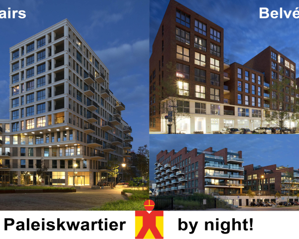 Paleiskwartier_By_Night_200907.jpg
